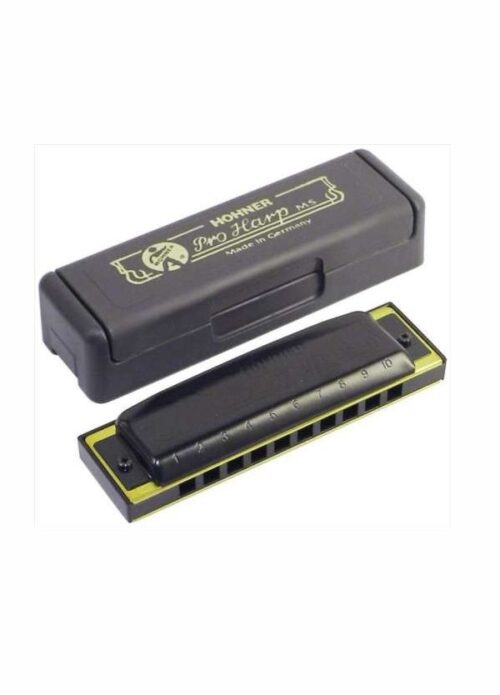 ARMONICA DIATONICA HOHNER PRO HARP C