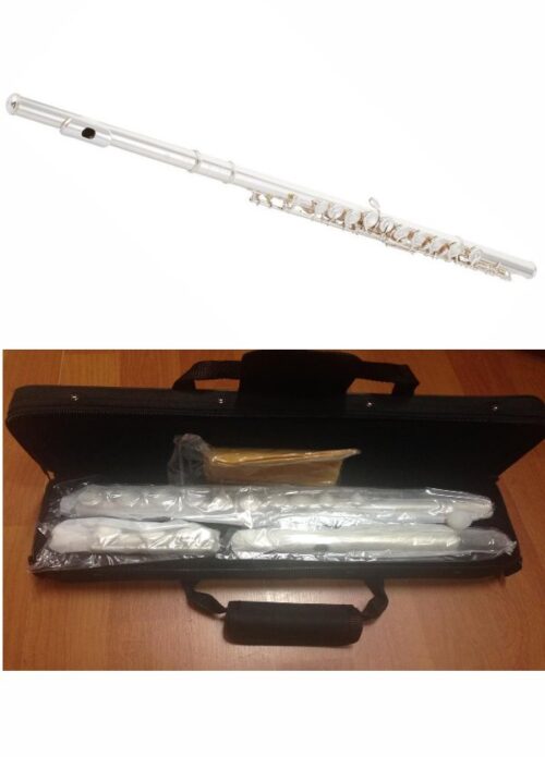 FLAUTO TRAVERSO STERN WSF10 CON CUSTODIA