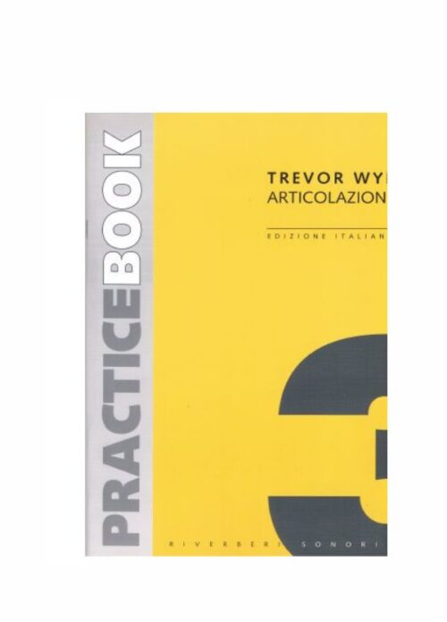 WYE : PRACTICE BOOK VOL. 3 ARTICOLAZIONE
