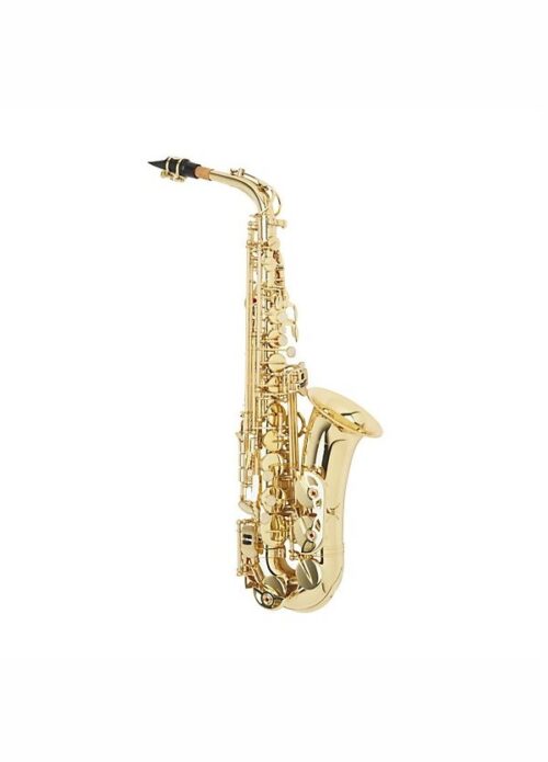 SASSOFONO CONTRALTO STERN WSSA30 CON BECCO E ASTUCCIO