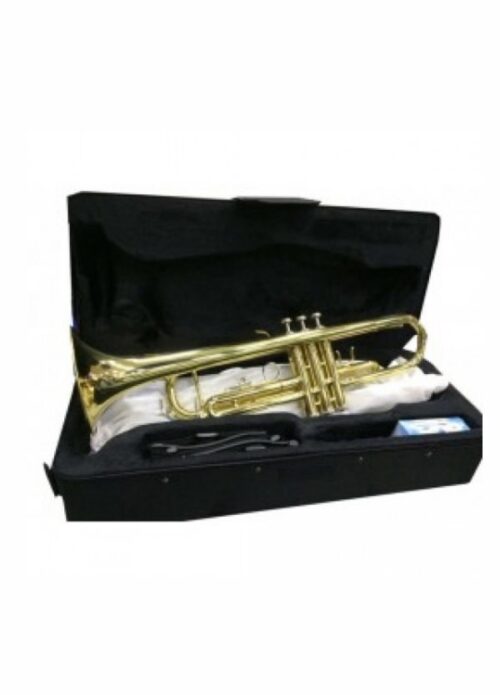 TROMBA DESIR IN SIb