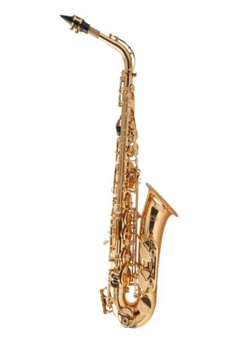 SASSOFONO CONTRALTO MILLER MSA-600 CON ASTUCCIO
