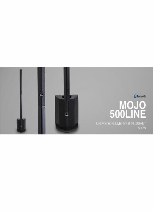 Audiophony Mojo 500 Line System Diffusore Attivo a Colonna