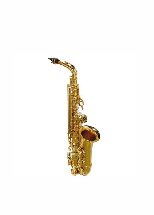 SASSOFONO CONTRALTO STEWARD ELLIS SE510L con astuccio