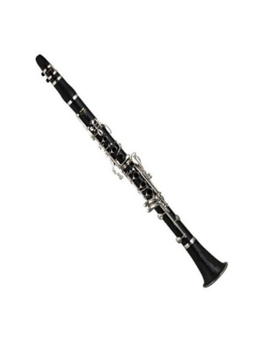 Clarinetto in Sib Desir con custodia