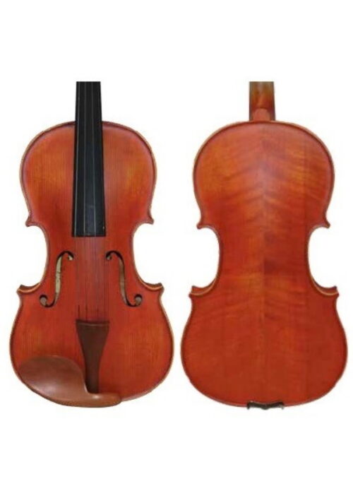 Violino Goja 4/4 vlci04 outlet