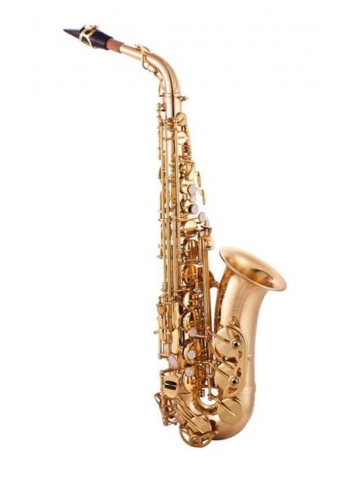 Sax sassofono Desir contralto MIb con custodia