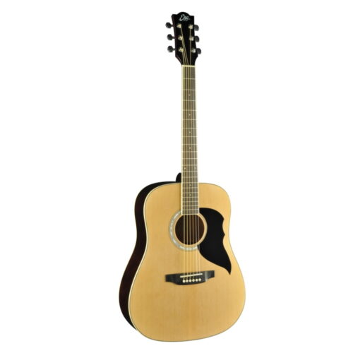 CHITARRA ACUSTICA EKO RANGER 6 natural
