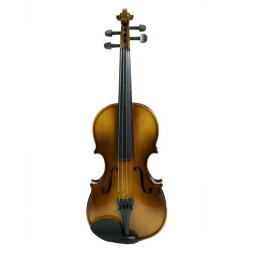 Violino 3/4 Oqan OV100