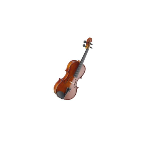 Violino Stagg Outfit 4/4