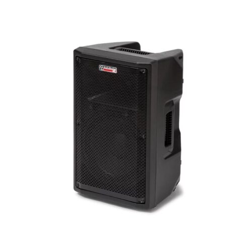 Audio Design Pro Max2 15+ Diffusore Attivo Bi-Amp 450 watt rms