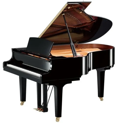 Pianoforti e tastiere