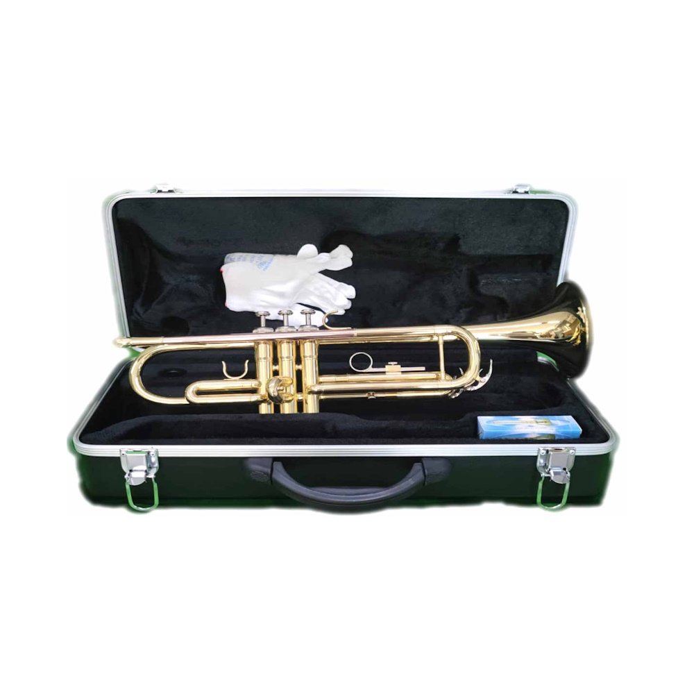 TROMBA SIb LACCATA W. STERN WST40 CON ASTUCCIO